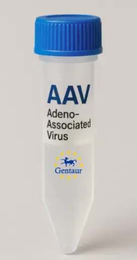CDCA7 AAV Vector (Mouse) (CMV)