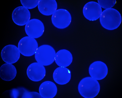 [AFB-2000-NH2] Blue PS Fluorescent Particles, 20 um-NH2