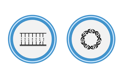 Laboratory Controls